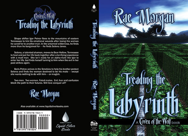 Treading the Labyrinth