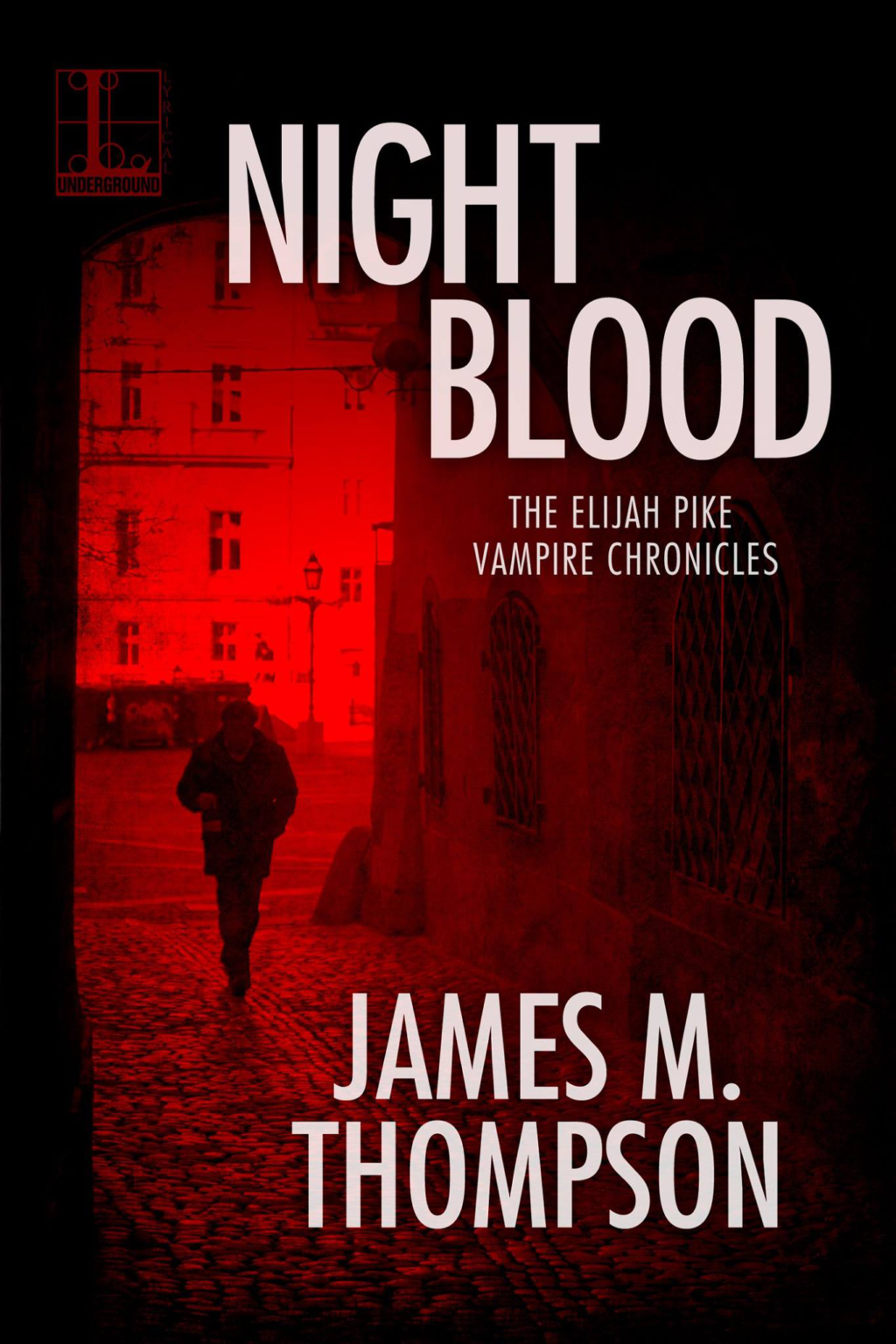 <b>Night</b> <b>Blood</b> by James M. Thompson.